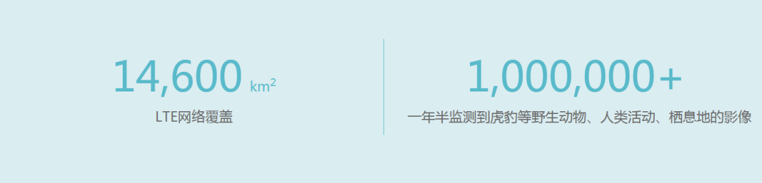 九游会旗舰厅 | 智慧的“眼睛”，AI守护珍稀动物